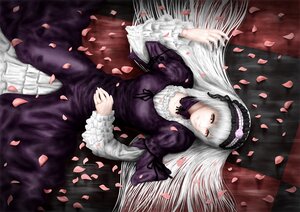 Rating: Safe Score: 0 Tags: 1girl auto_tagged cherry_blossoms dress frills from_above gothic_lolita hairband image juliet_sleeves lolita_fashion lolita_hairband long_hair long_sleeves looking_at_viewer petals puffy_sleeves red_eyes rose_petals silver_hair solo suigintou User: admin
