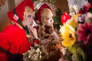 Rating: Safe Score: 0 Tags: blonde_hair blue_eyes blurry bonnet depth_of_field dress flower lips long_hair multiple_girls photo rose shinku solo User: admin