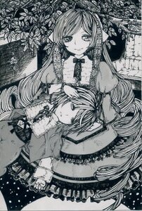 Rating: Safe Score: 0 Tags: 2girls dress drill_hair flower frills greyscale image long_hair monochrome multiple_girls pair ribbon rose short_hair siblings sisters souseiseki suiseiseki swept_bangs traditional_media twins very_long_hair User: admin