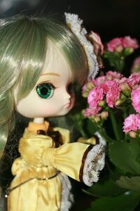 Rating: Safe Score: 0 Tags: 1girl blurry blurry_foreground depth_of_field doll expressionless flower green_eyes green_hair kanaria long_sleeves solo User: admin