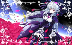 Rating: Safe Score: 0 Tags: 1girl black_rose black_wings blue_rose cross dress flower frills hairband image long_hair long_sleeves petals pink_flower pink_rose purple_flower purple_rose red_eyes rose rose_petals silver_hair solo suigintou thighhighs thorns white_rose wings User: admin
