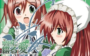 Rating: Safe Score: 0 Tags: 1girl blush brown_hair dress flower green_eyes image long_hair open_mouth pair siblings sisters smile souseiseki suiseiseki twins User: admin