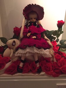 Rating: Safe Score: 0 Tags: 1girl blonde_hair doll dress flower frills hat long_hair red_flower red_rose rose shinku solo stuffed_animal twintails User: admin