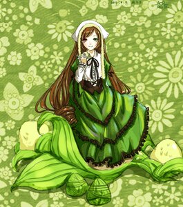 Rating: Safe Score: 0 Tags: 1girl brown_hair dress flower frills green_dress green_eyes heterochromia image long_hair long_sleeves looking_at_viewer red_eyes smile solo suiseiseki very_long_hair watering_can User: admin