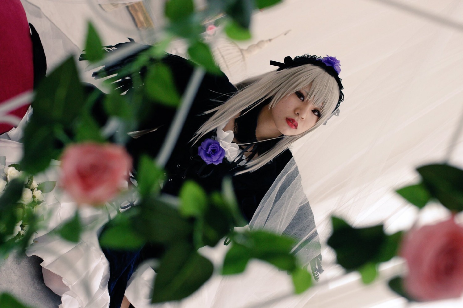 1girl 3d bangs blurry blurry_background blurry_foreground depth_of_field dress flower frills hairband lips long_hair motion_blur photo red_lips rose solo suigintou