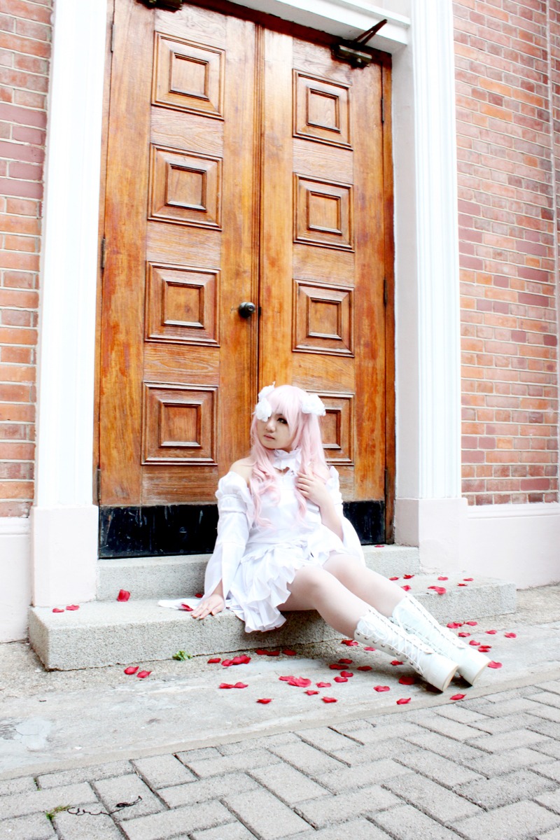 1girl animal_ears barefoot dress kirakishou petals sitting solo traditional_media white_dress white_hair