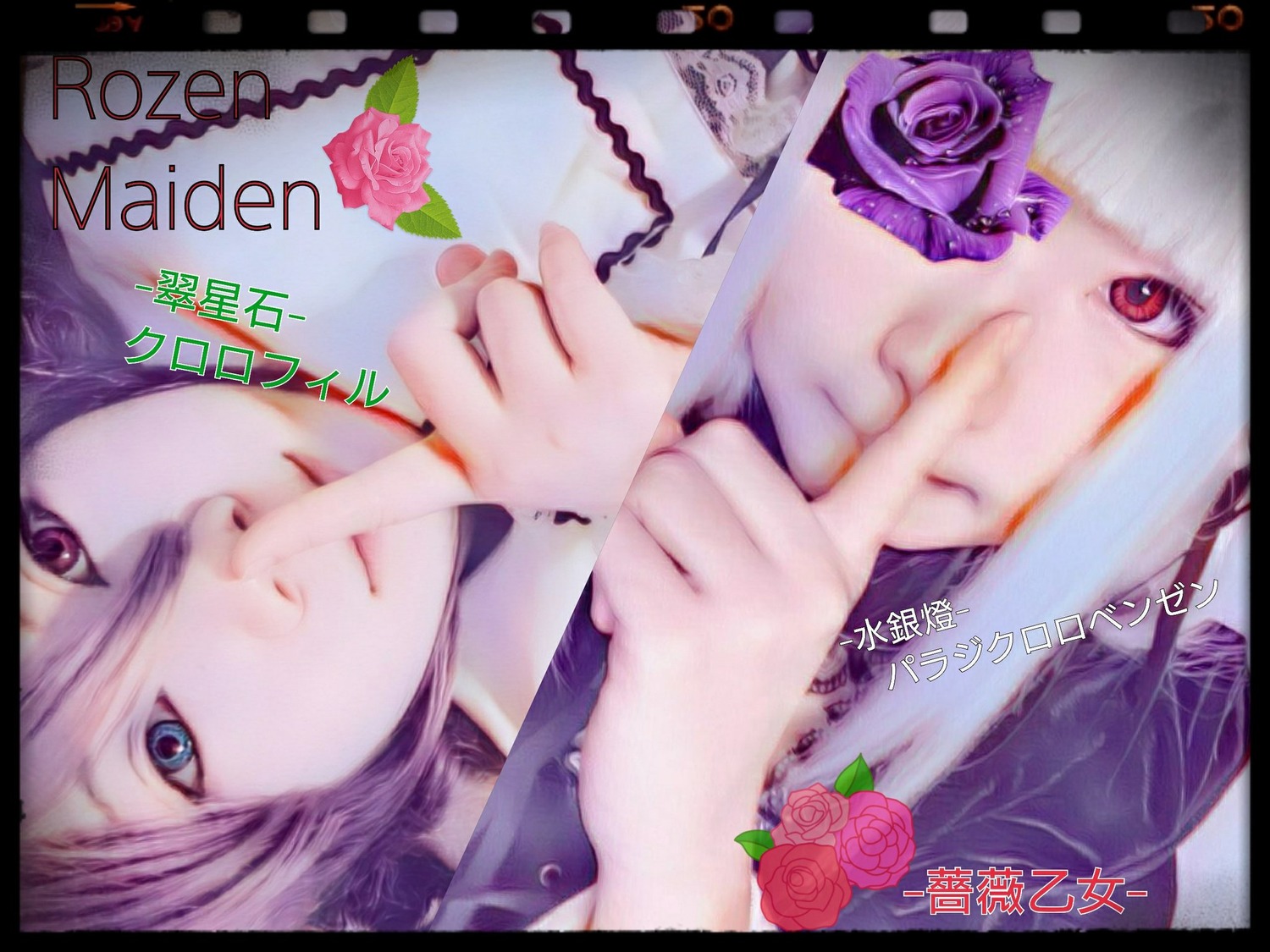 1boy black_border flower hands letterboxed lips long_hair looking_at_viewer multiple_cosplay pink_flower pink_rose purple_flower purple_hair purple_rose red_eyes red_flower red_rose rose tagme white_rose