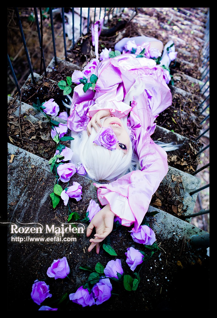 1girl barasuishou blue_flower border flower letterboxed purple_eyes purple_flower rose solo white_hair