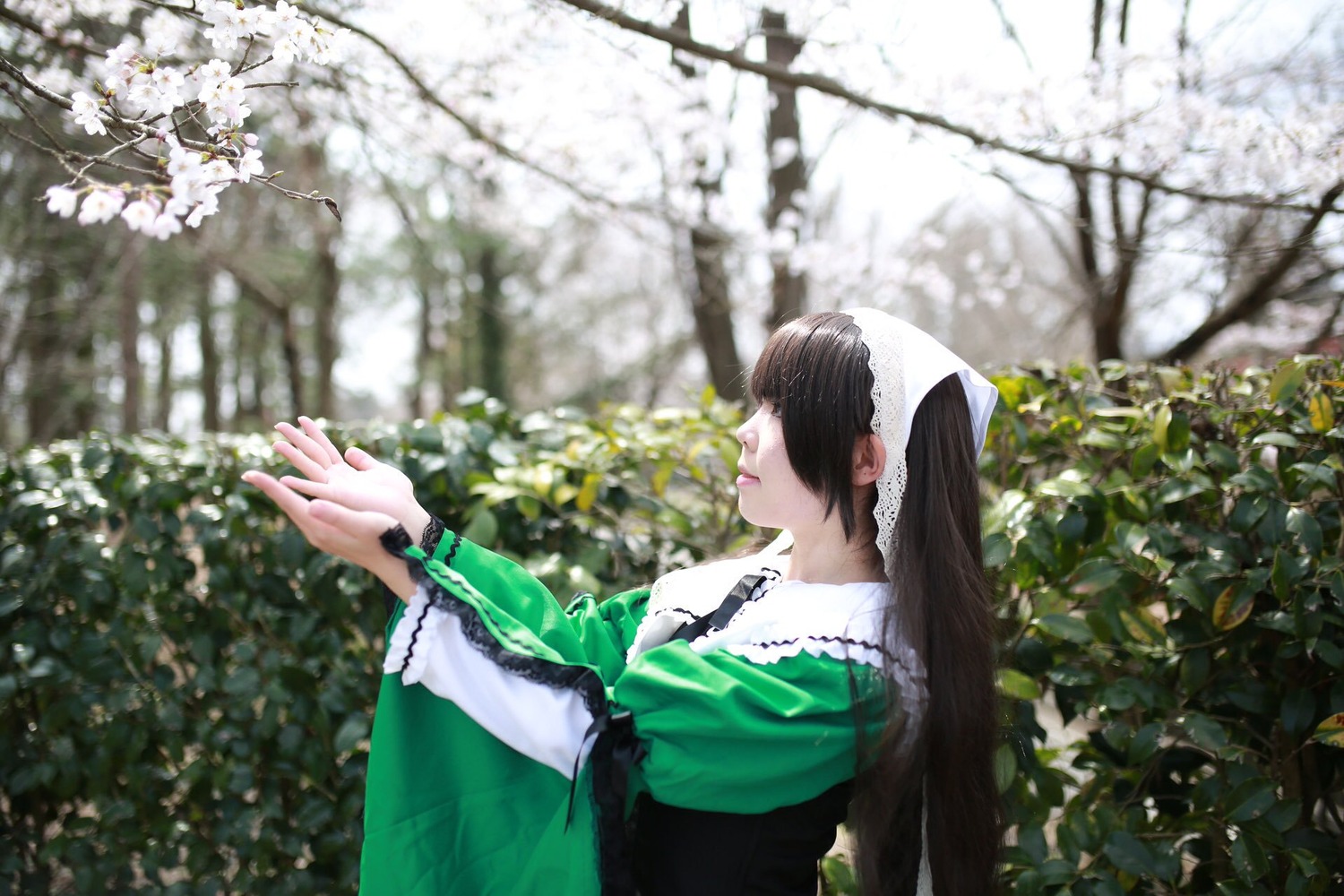 1girl apron black_hair blurry blurry_background cherry_blossoms closed_eyes depth_of_field flower long_hair long_sleeves maid maid_headdress ponytail profile solo suiseiseki tree upper_body white_apron wide_sleeves