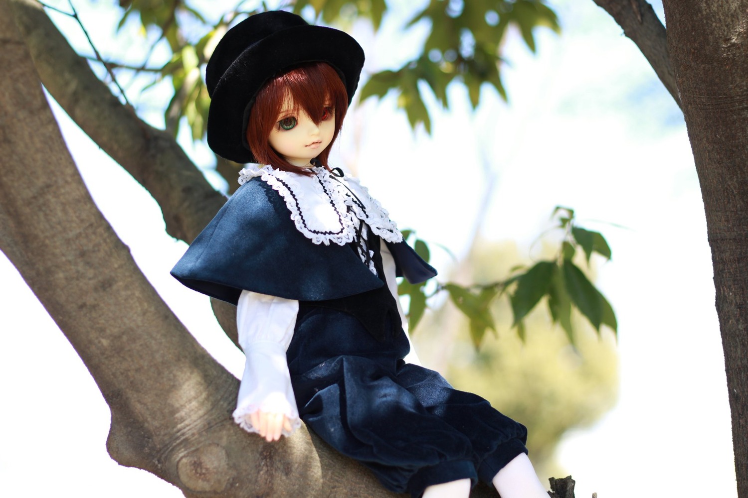 1girl bare_tree brown_hair capelet doll dress green_eyes hat heterochromia long_sleeves looking_at_viewer plant red_eyes short_hair sitting solo souseiseki tree