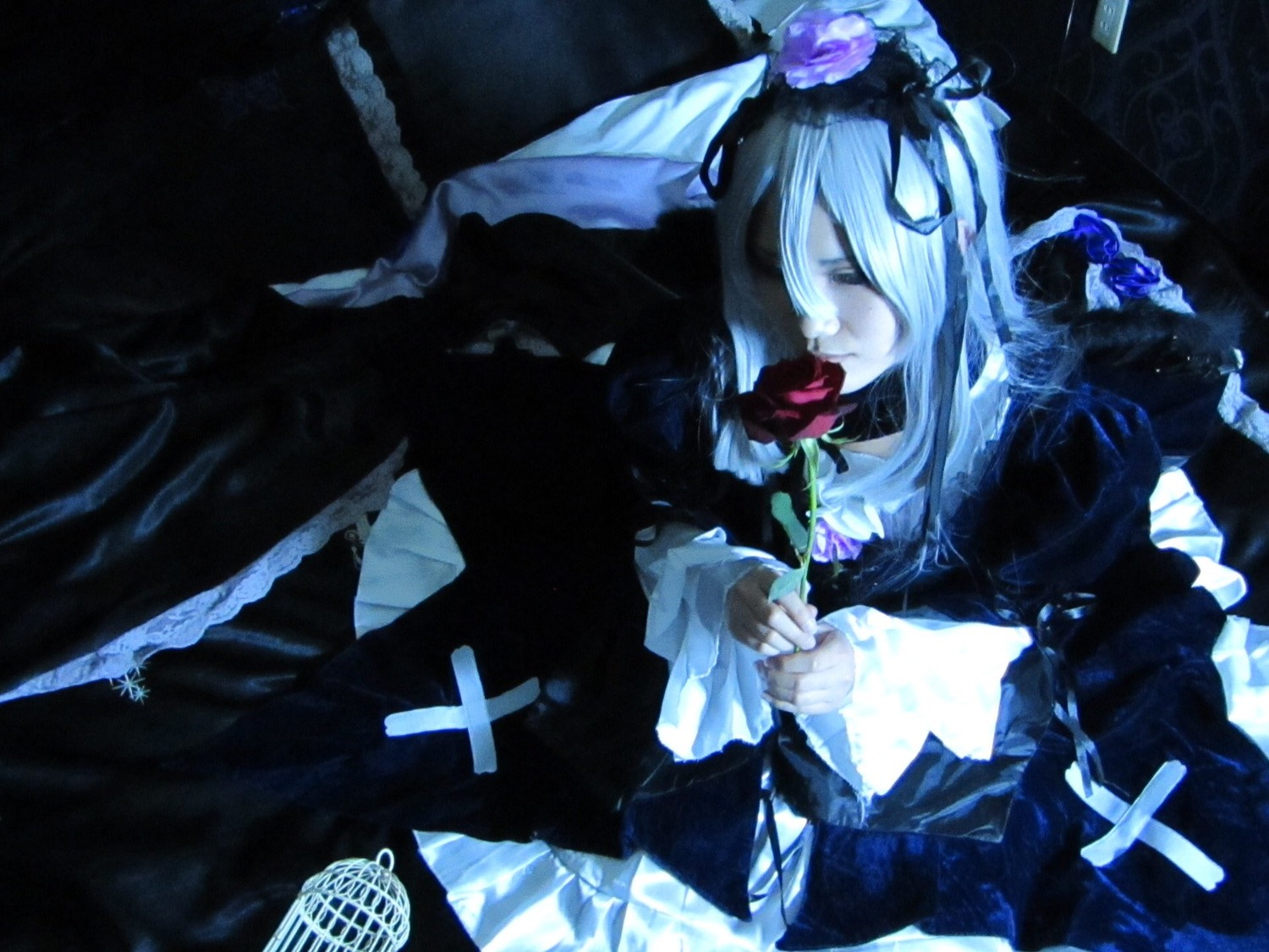 1girl black_dress closed_eyes dress flower frills gothic_lolita lolita_fashion long_hair rose solo suigintou