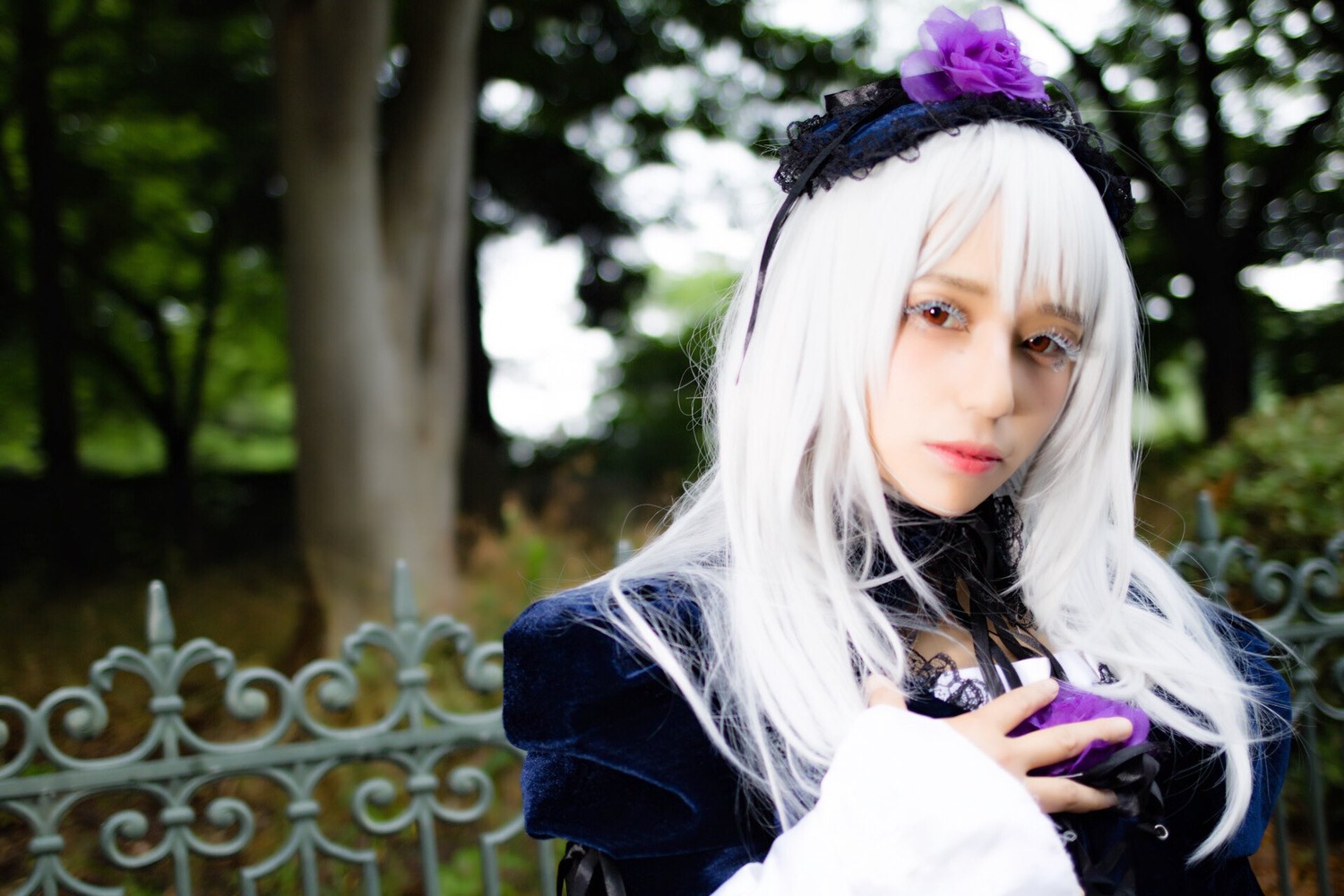 1girl bangs blurry blurry_background blurry_foreground closed_mouth depth_of_field dress flower gothic_lolita hairband lips lolita_fashion long_hair long_sleeves looking_at_viewer red_eyes solo suigintou upper_body white_hair