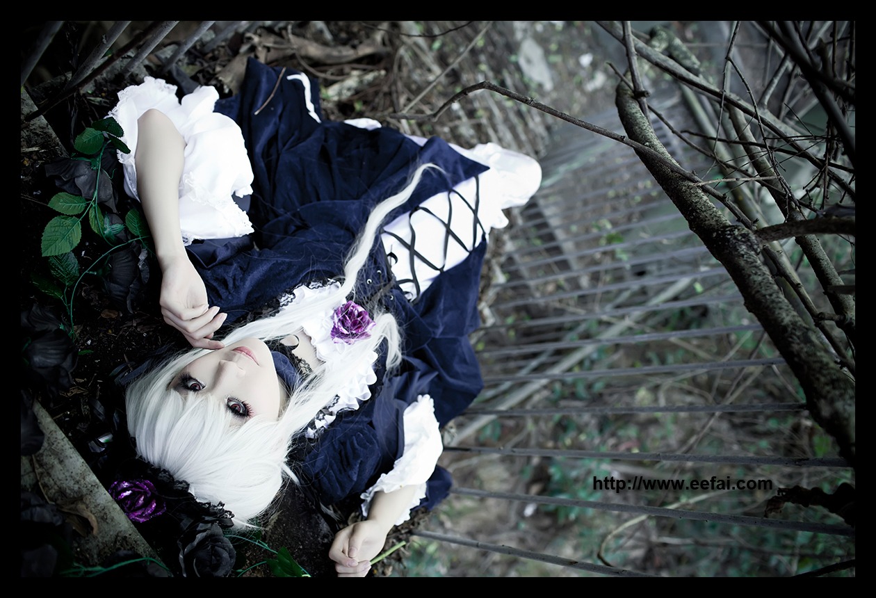 1girl black_border dress flower gothic_lolita letterboxed lolita_fashion rose solo suigintou white_hair