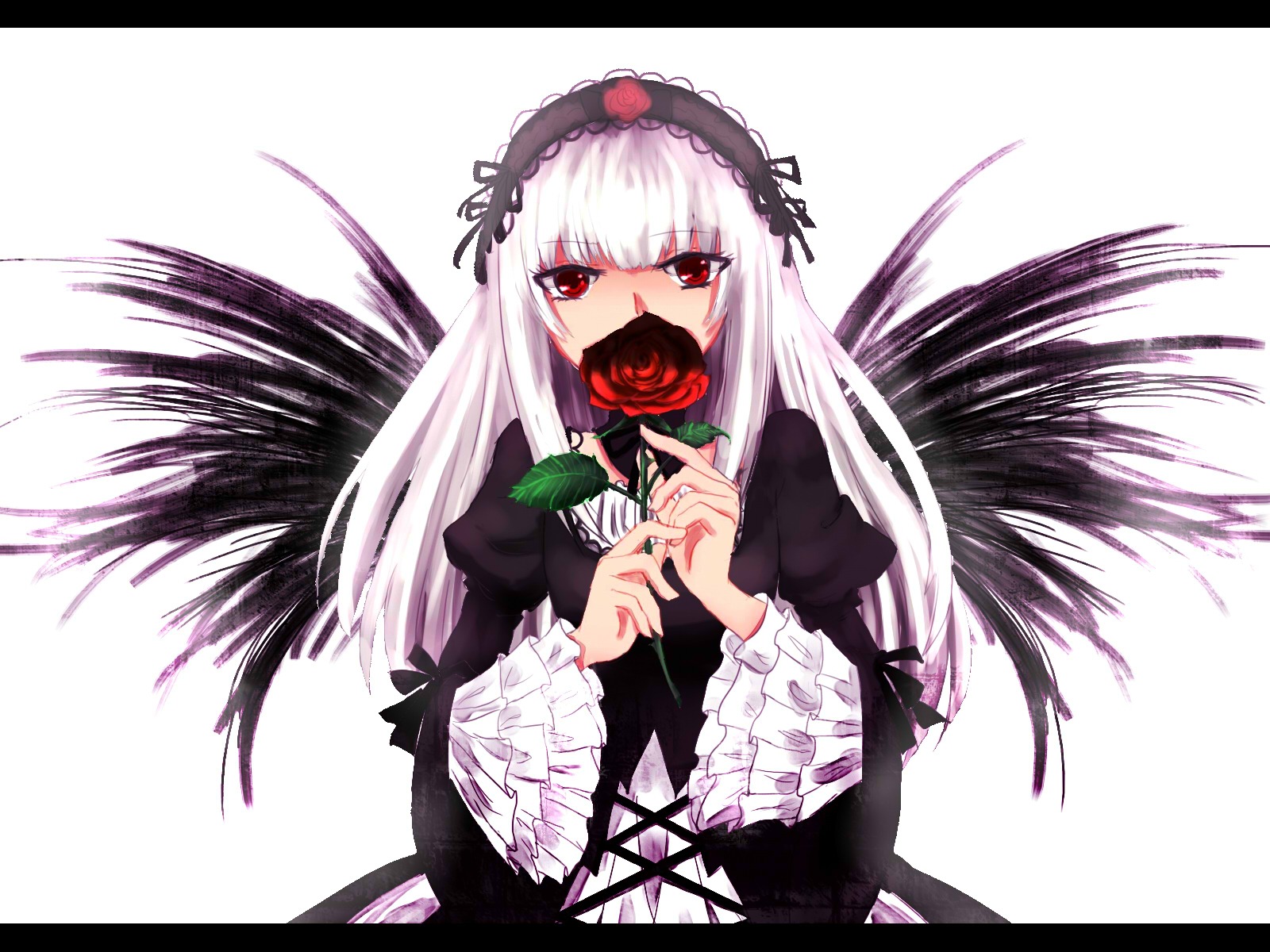 1girl black_dress black_wings dress feathers flower frilled_sleeves frills hairband holding holding_flower image letterboxed lolita_fashion lolita_hairband long_hair long_sleeves looking_at_viewer red_eyes red_flower red_rose rose silver_hair solo suigintou upper_body white_background wings