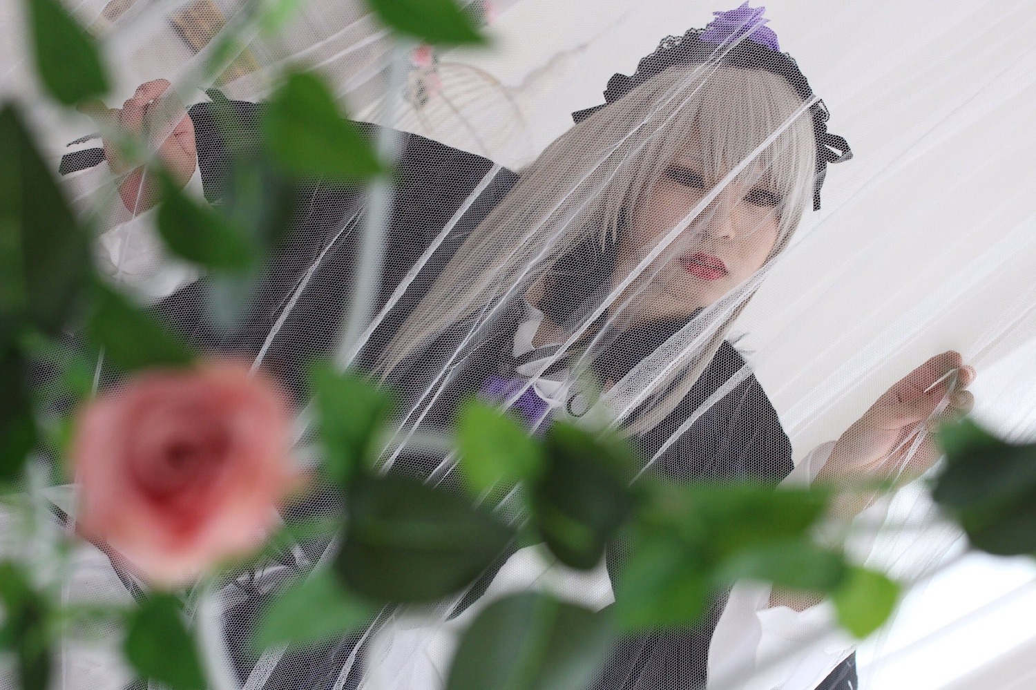 1girl 3d blurry blurry_background blurry_foreground depth_of_field dress flower hair_ribbon lips long_hair motion_blur photo ribbon rose silver_hair solo suigintou