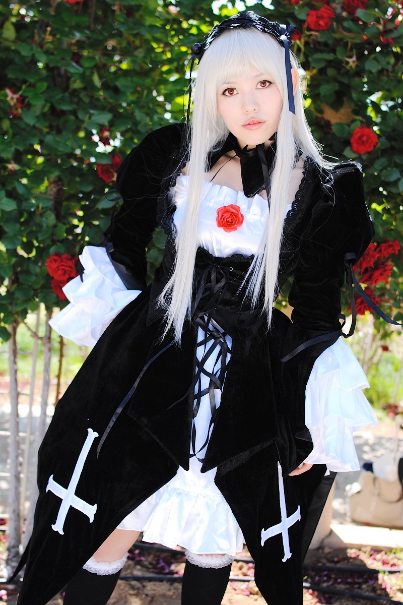 1girl black_dress black_legwear blurry blurry_background depth_of_field dress flower gothic_lolita hairband lace lips lolita_fashion long_hair long_sleeves looking_at_viewer red_eyes red_flower red_rose rose solo standing suigintou white_hair