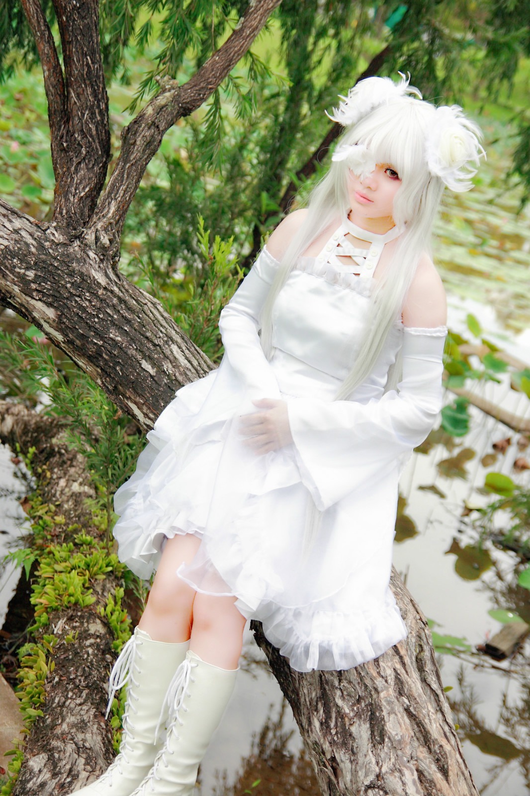 1girl animal_ears bare_shoulders detached_sleeves dress grass kirakishou lips outdoors sitting solo standing tree white_dress white_hair white_legwear white_theme