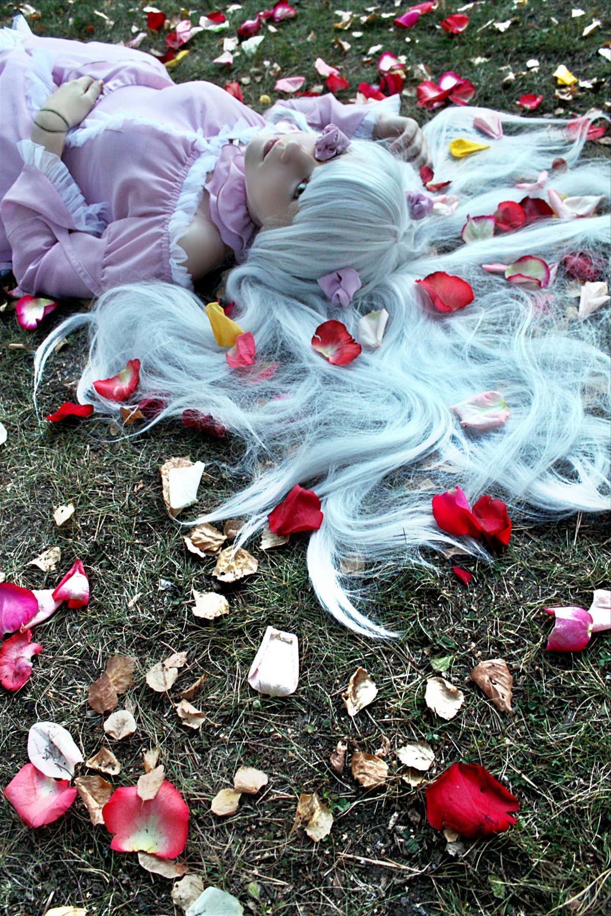 1girl barasuishou dress flower lips long_hair lying petals solo traditional_media very_long_hair white_hair