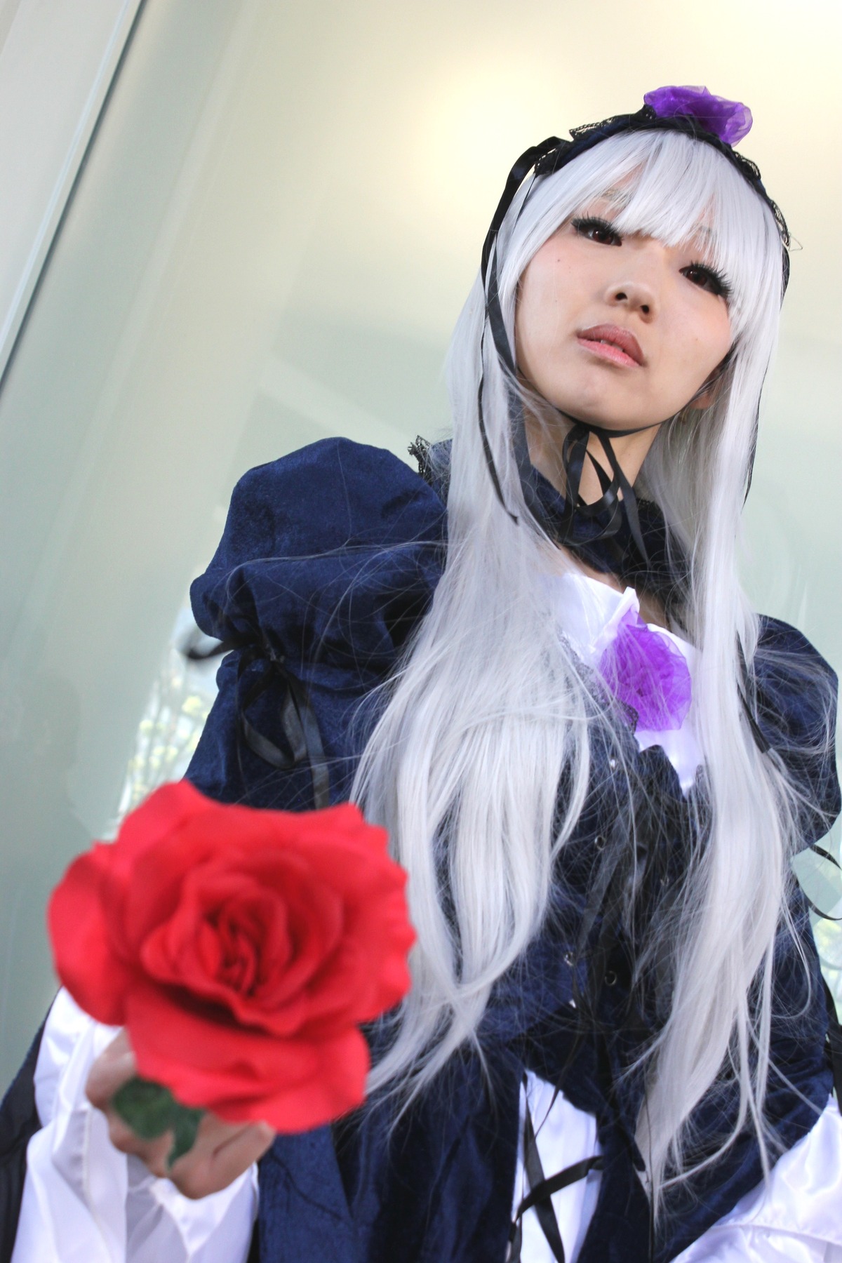 1girl blurry depth_of_field dress flower lips long_hair long_sleeves photo realistic red_flower red_rose rose solo suigintou