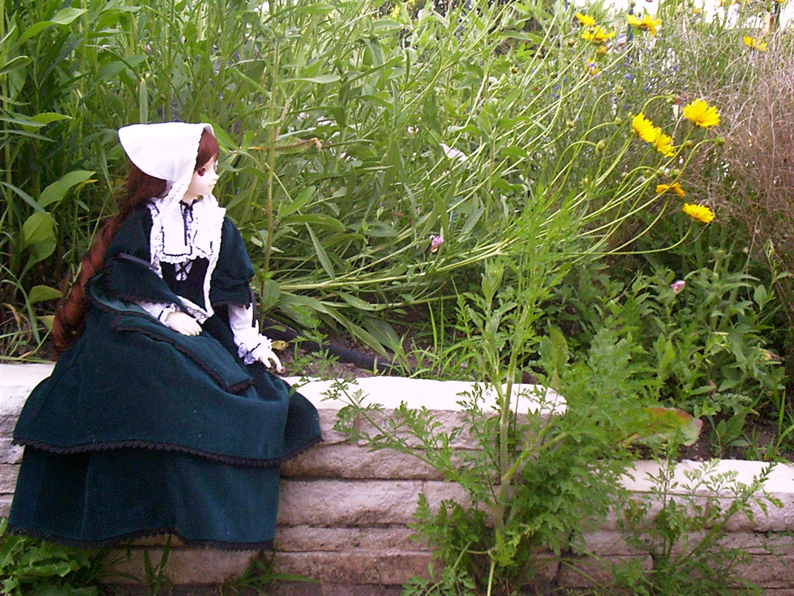 1girl black_dress doll dress grass jewelry long_sleeves outdoors plant profile sitting solo suiseiseki