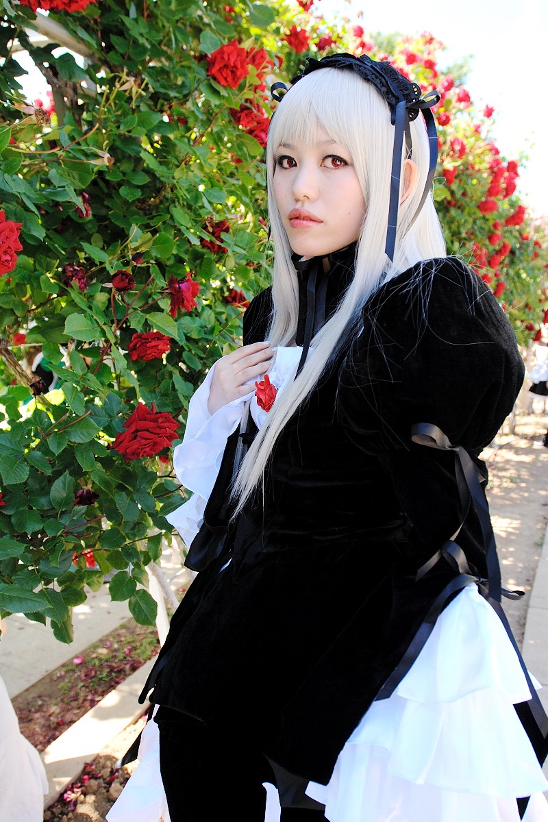 1girl bangs dress flower hairband lips long_hair long_sleeves looking_at_viewer red_eyes red_flower rose solo suigintou