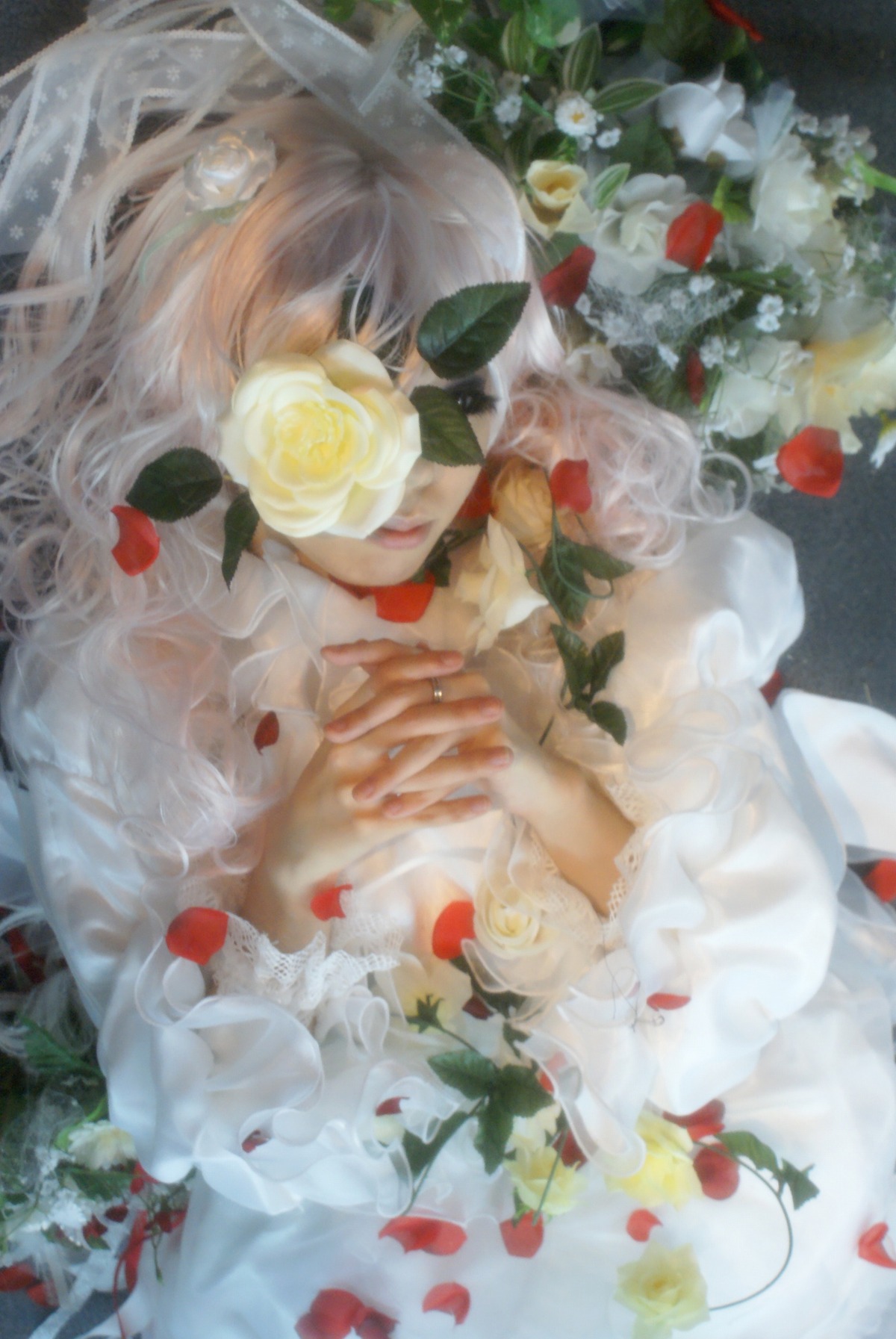 1girl bangs blurry blurry_foreground closed_eyes depth_of_field dress flower hands_clasped kirakishou own_hands_together petals rose solo upper_body white_flower white_hair white_rose