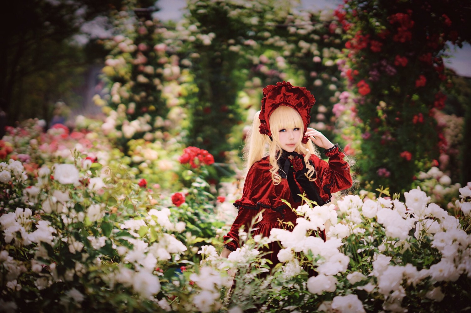 1girl blonde_hair blue_eyes blurry blurry_foreground bonnet depth_of_field dress flower long_hair long_sleeves looking_at_viewer red_dress rose shinku solo