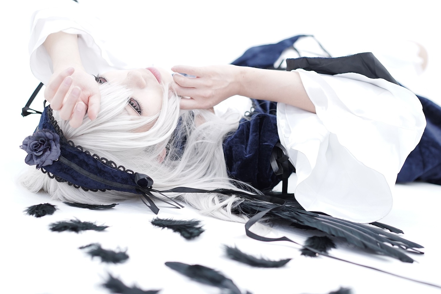 1girl bangs bird black_feathers blurry closed_mouth crow depth_of_field dove feathers flower hair_ribbon hairband lace long_hair long_sleeves nail_polish ribbon rose solo striped suigintou upper_body white_background white_feathers white_hair