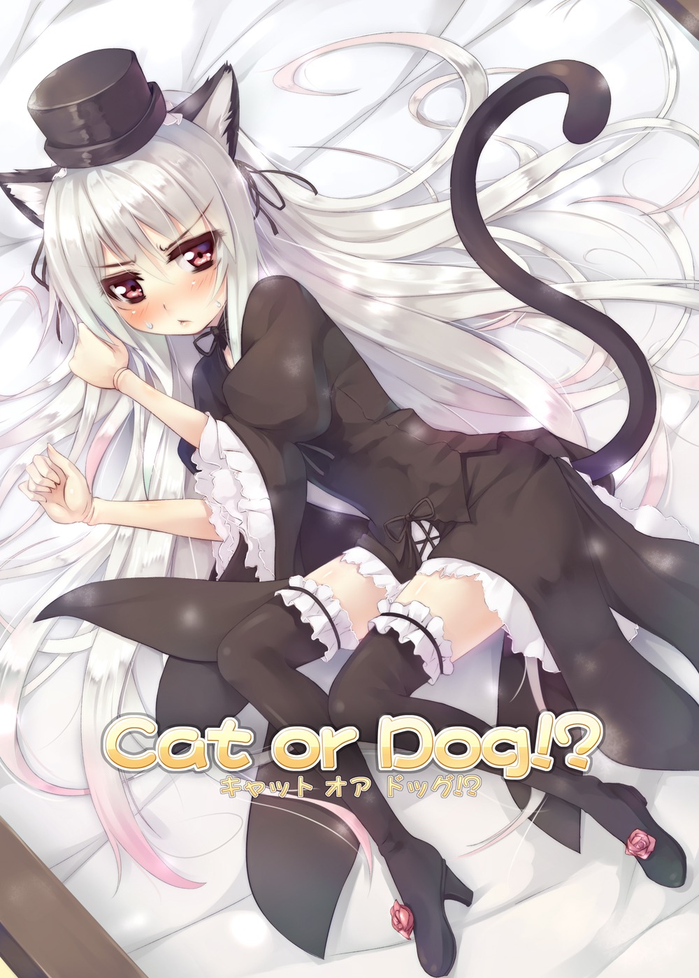 1girl animal_ears asa_(swallowtail) bangs black_legwear blush cat_ears cat_tail commentary_request dress eyebrows_visible_through_hair frills hair_between_eyes hat high_heels highres image long_hair lying on_side photoshop_(medium) red_eyes rozen_maiden shoes solo suigintou tail thighhighs white_hair zettai_ryouiki