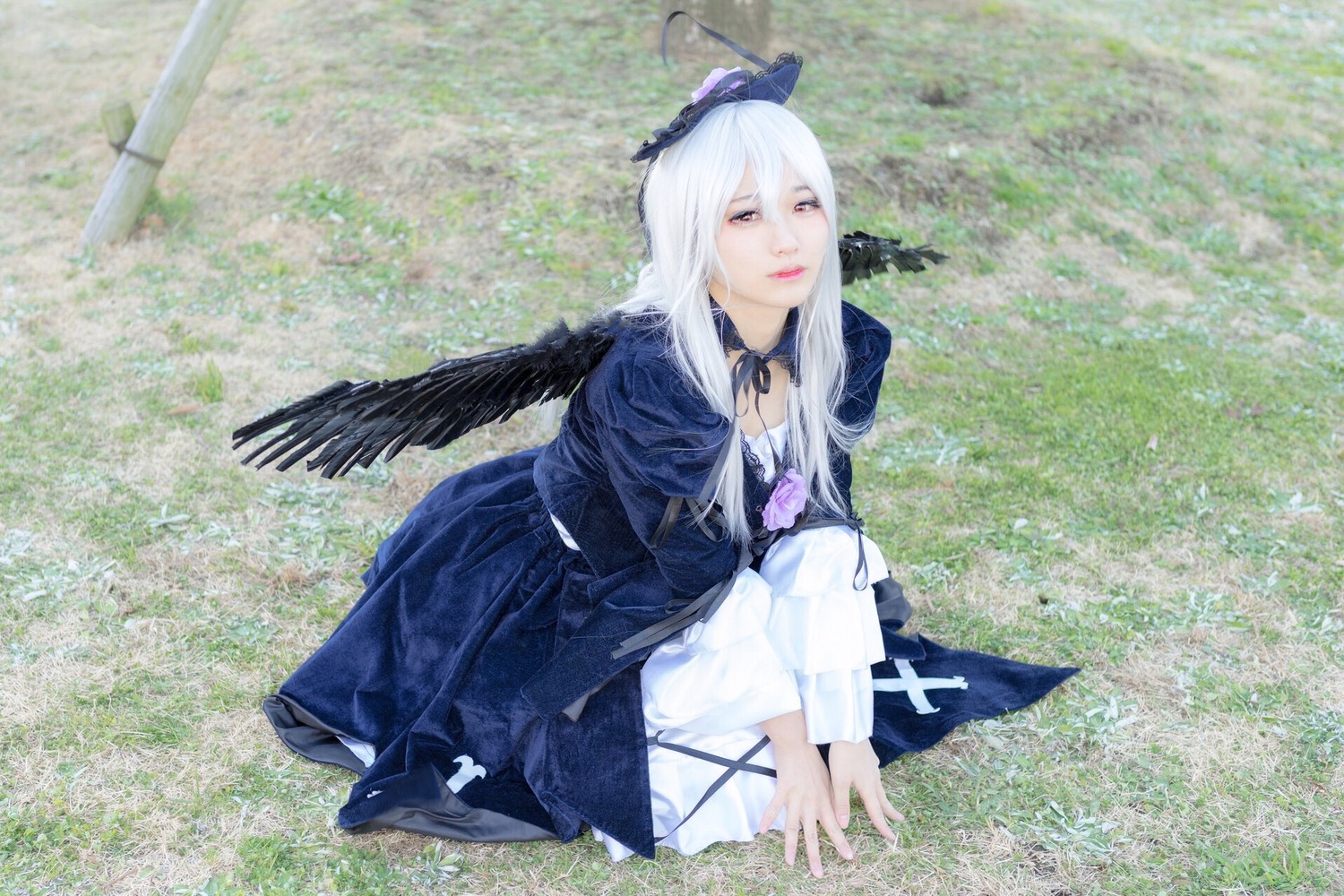 1girl black_wings choker dress feathered_wings field grass lips long_hair looking_at_viewer ribbon sitting solo suigintou white_hair wings