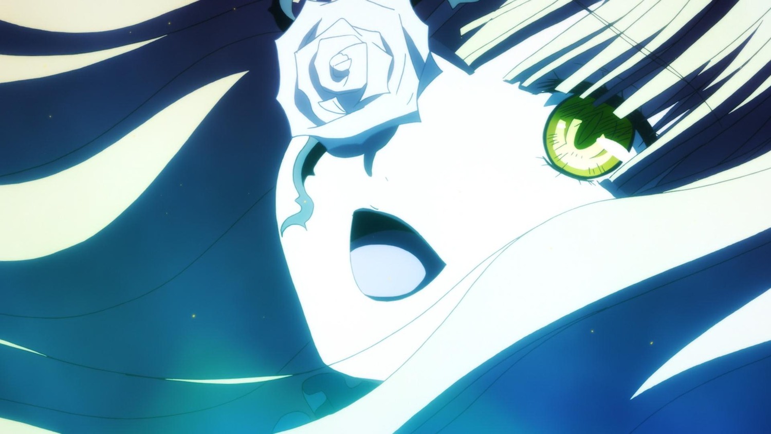 1girl close-up flower image kirakishou rose solo white_flower white_rose