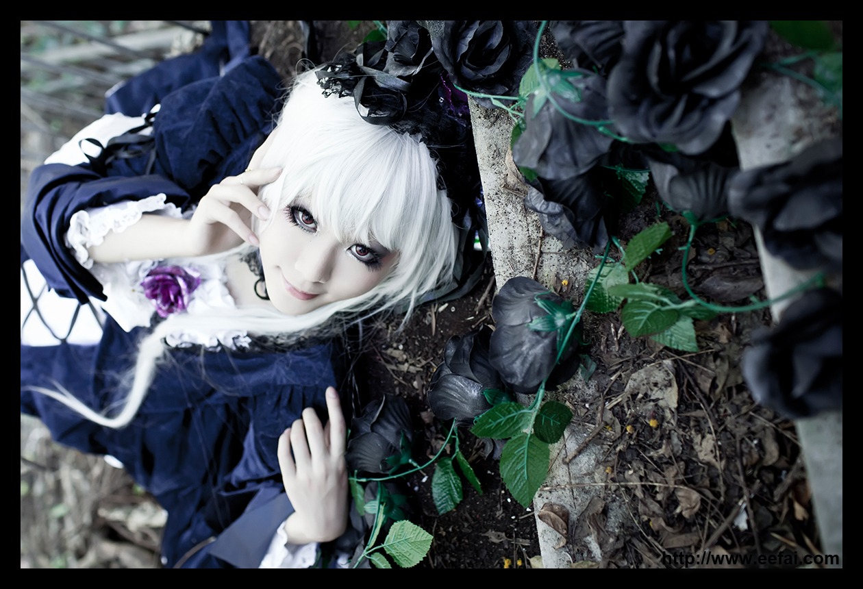 1boy 1girl black_border blurry depth_of_field flower letterboxed looking_at_viewer pillarboxed rose smile solo suigintou white_hair windowboxed