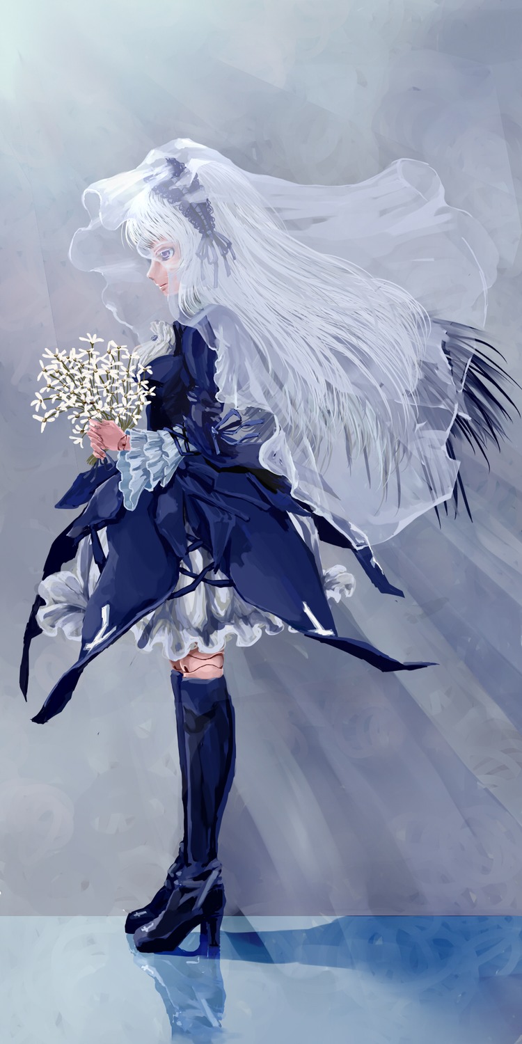 1girl animal_ears blue_eyes boots dress flower frills full_body image long_hair puffy_sleeves solo suigintou thighhighs white_hair