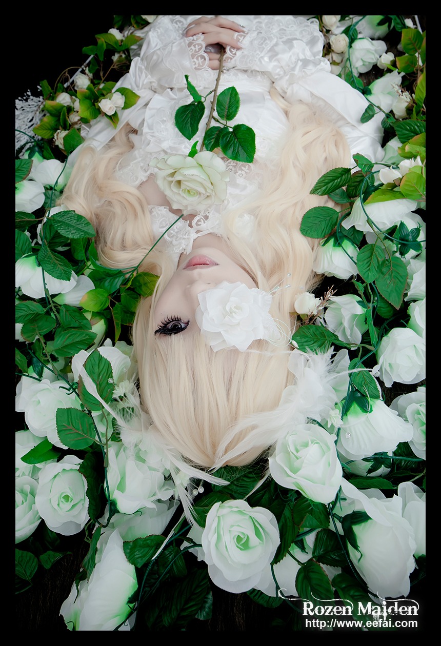 1girl blonde_hair face flower kirakishou leaf letterboxed lips long_hair plant rose solo white_flower white_hair white_rose