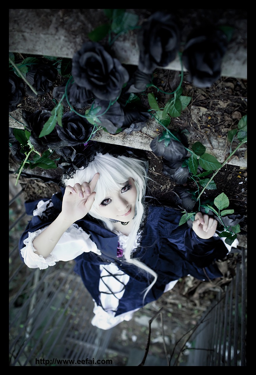 1girl black_border dress flower from_above letterboxed lying on_back pillarboxed rose solo suigintou white_hair