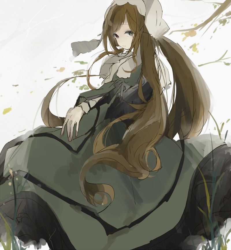 1girl bangs black_dress brown_hair closed_mouth dress green_dress image juliet_sleeves leaf long_hair long_sleeves looking_at_viewer puffy_sleeves solo suiseiseki very_long_hair