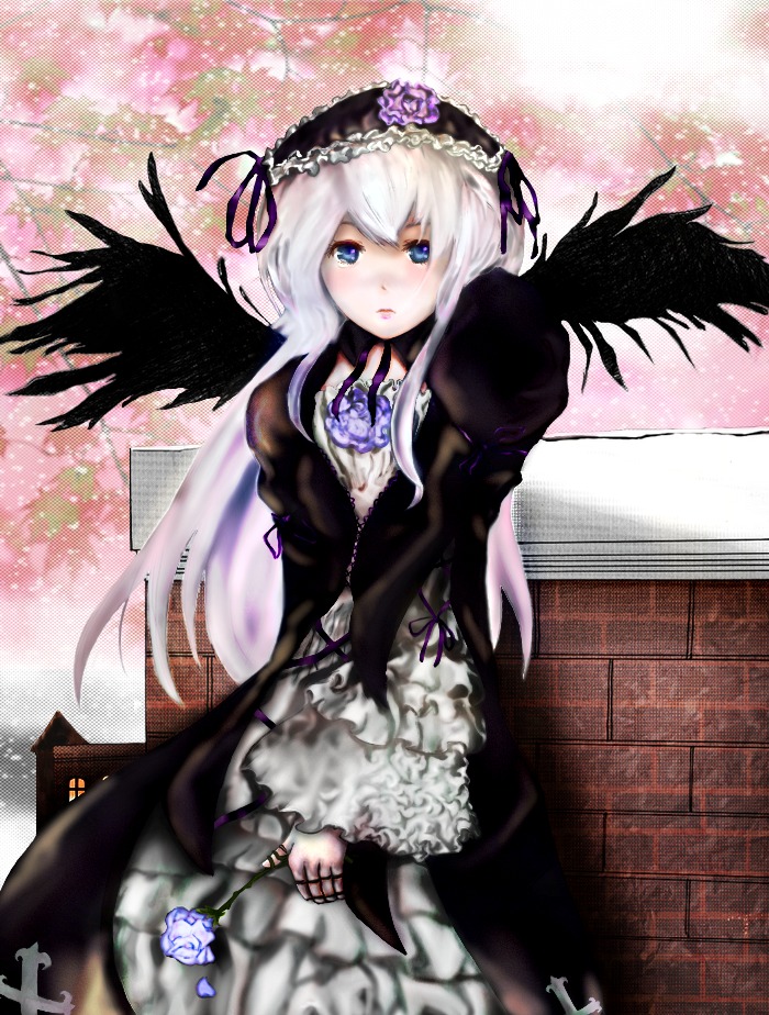 1girl black_dress black_wings blue_eyes dress feathered_wings flower frills gothic_lolita hairband image juliet_sleeves lolita_fashion lolita_hairband long_hair long_sleeves looking_at_viewer puffy_sleeves ribbon silver_hair solo suigintou wings