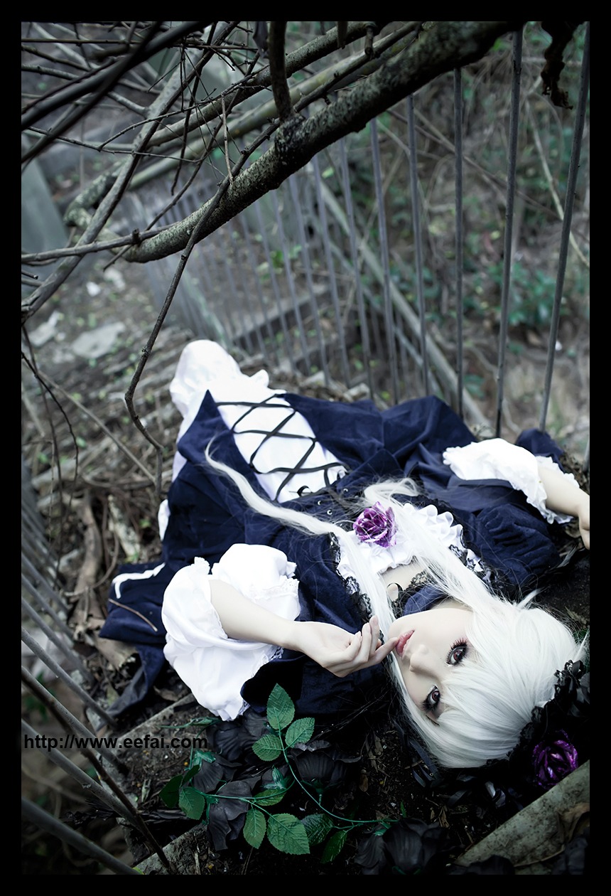 1girl black_border dress flower gothic_lolita letterboxed lolita_fashion pillarboxed rose solo suigintou white_hair windowboxed