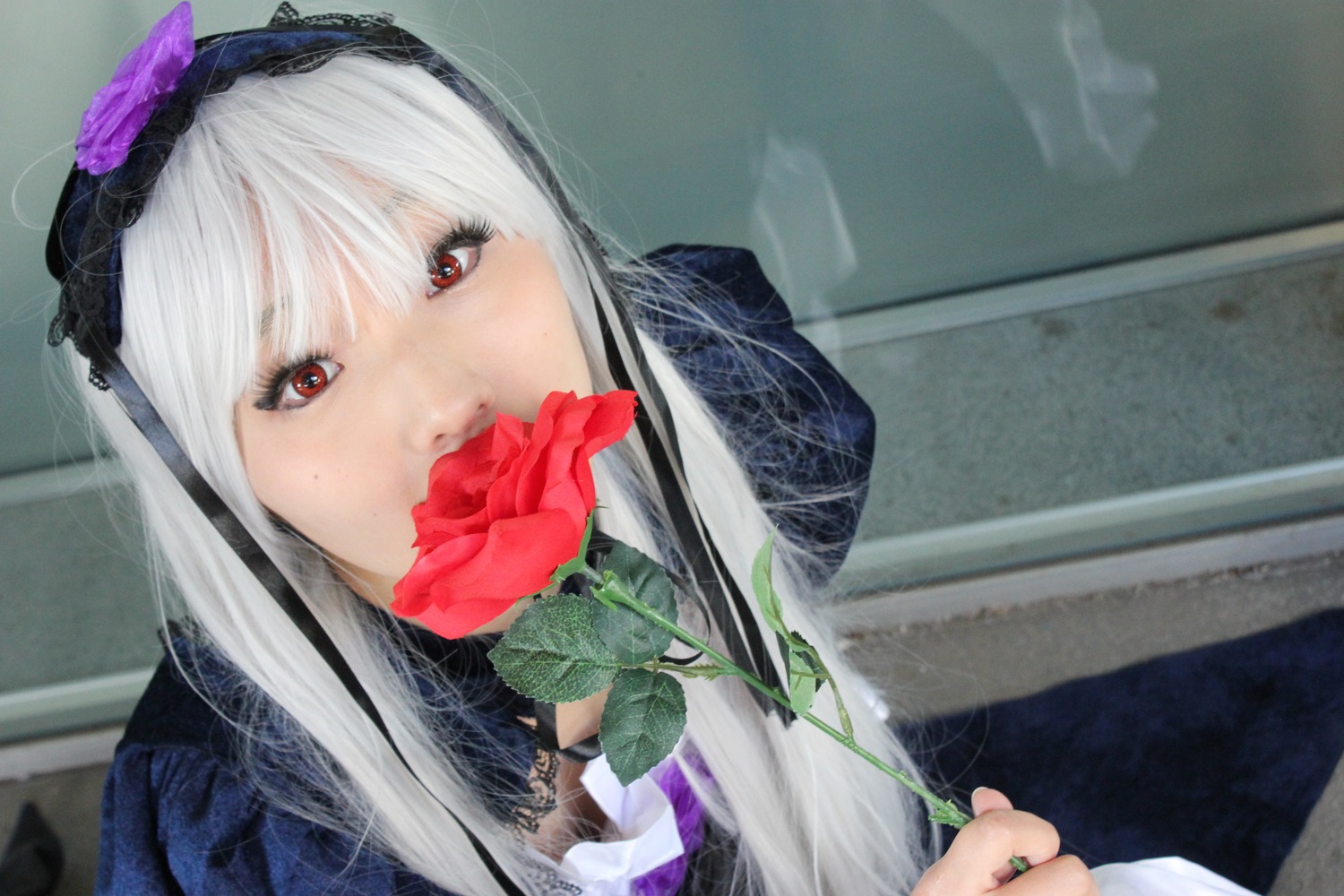 1girl bangs flower hairband holding_flower long_hair looking_at_viewer nail_polish photo red_eyes red_flower rose solo suigintou upper_body white_hair