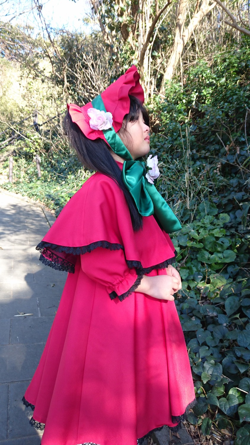 1girl black_hair bow capelet day dress flower long_hair long_sleeves outdoors plant shinku solo standing