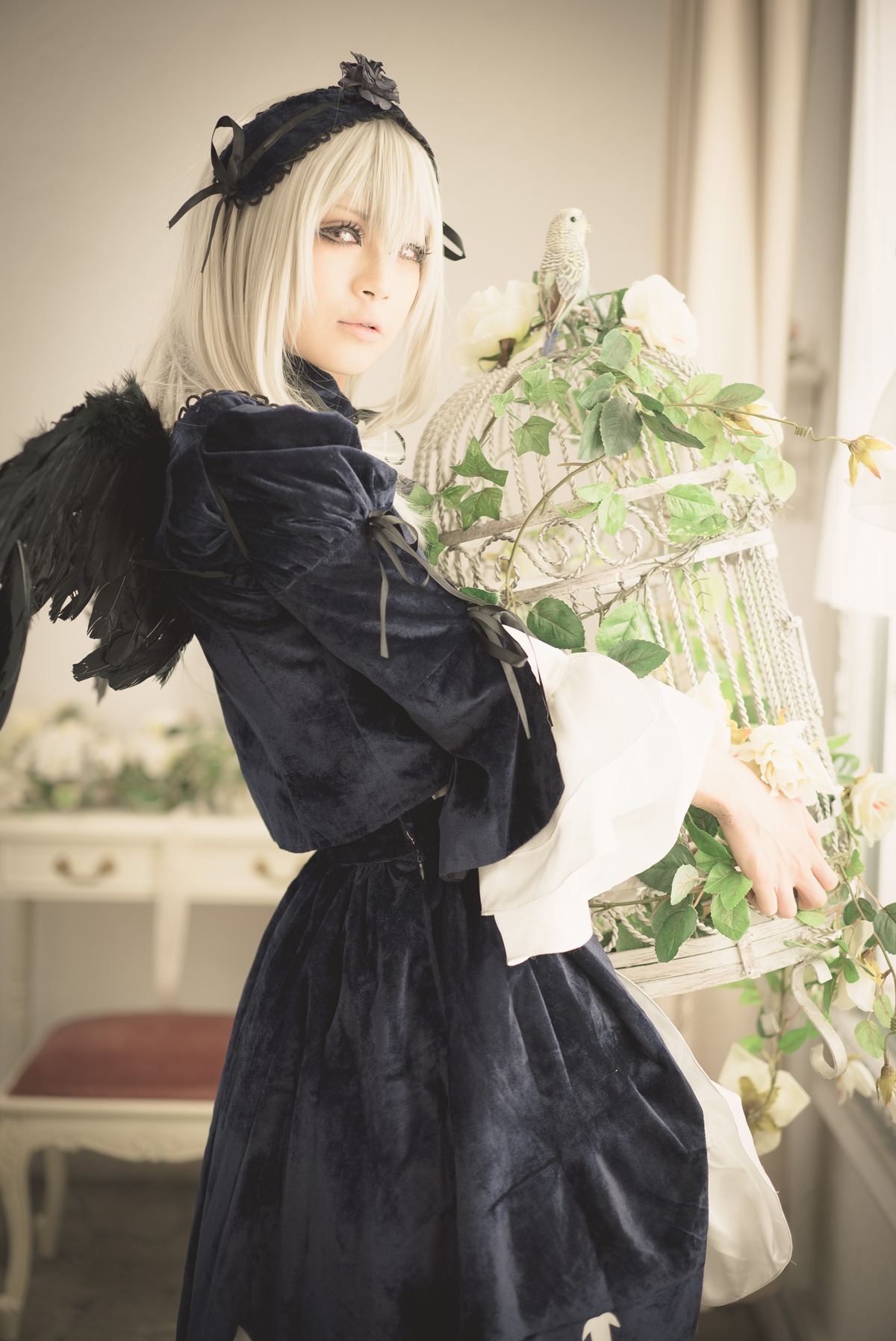 1girl blurry blurry_background closed_mouth depth_of_field dress flower indoors lips long_sleeves looking_at_viewer plant potted_plant solo standing suigintou wings