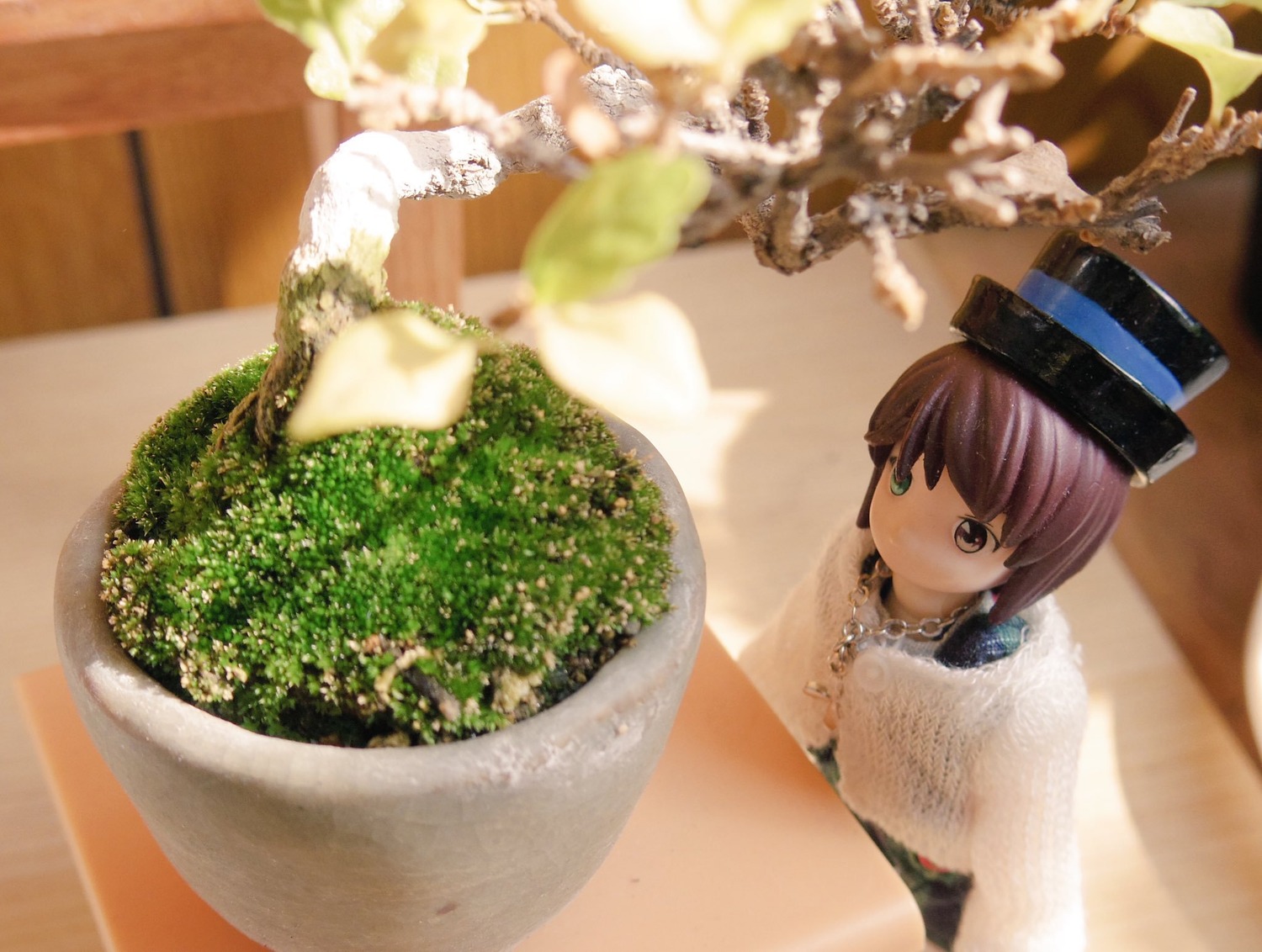 1girl bangs blurry blurry_background blurry_foreground brown_eyes brown_hair depth_of_field doll dress hat indoors jewelry lace looking_at_viewer necklace pearl_necklace photo short_hair sitting solo souseiseki