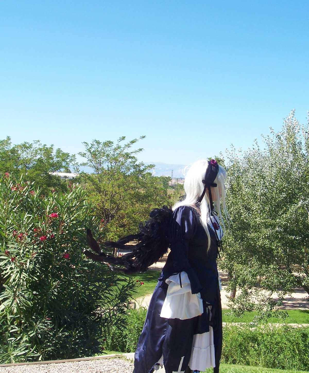1girl auto_tagged blue_sky day hair_ornament hair_ribbon long_hair outdoors ribbon sky solo standing suigintou