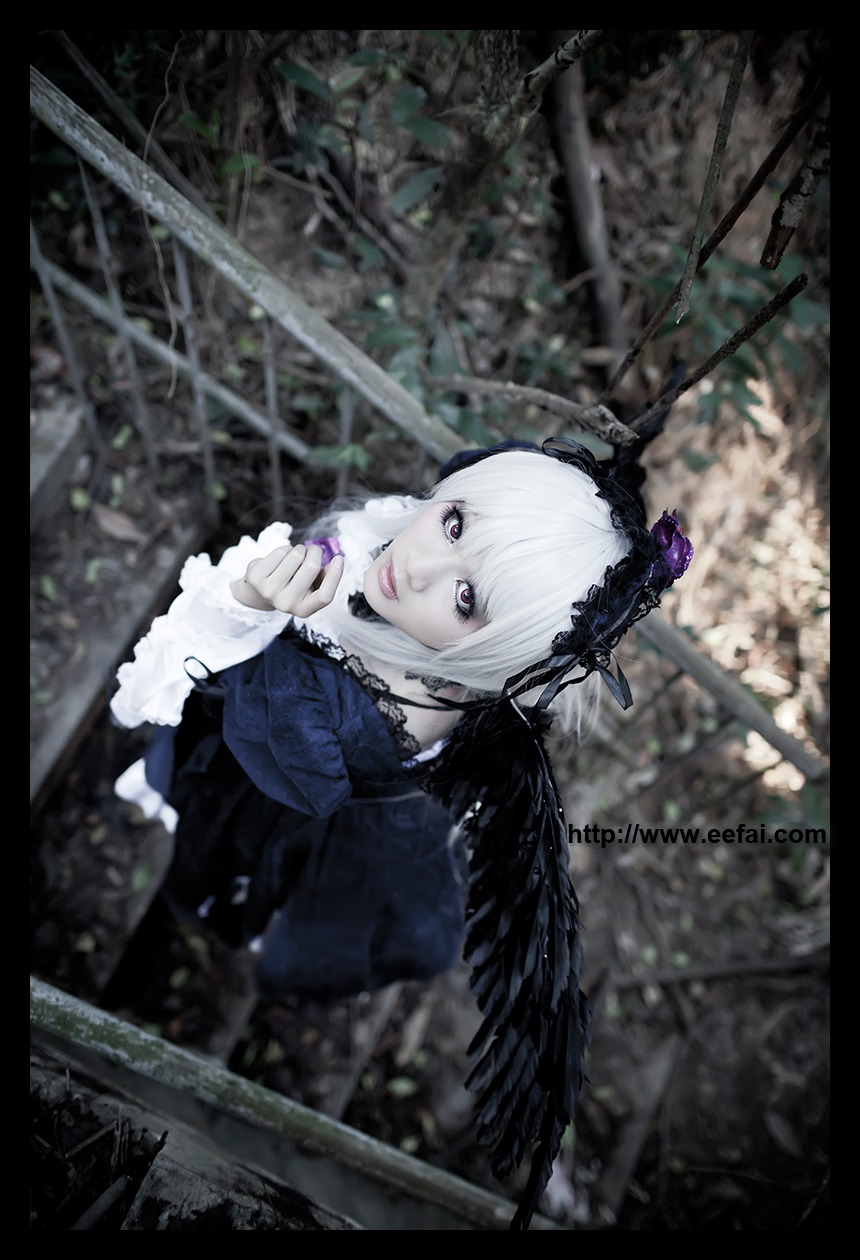 1girl black_border black_dress black_ribbon black_wings blurry blurry_background depth_of_field dress feathers flower frills hairband letterboxed lolita_fashion long_sleeves looking_at_viewer ribbon silver_hair solo suigintou wings