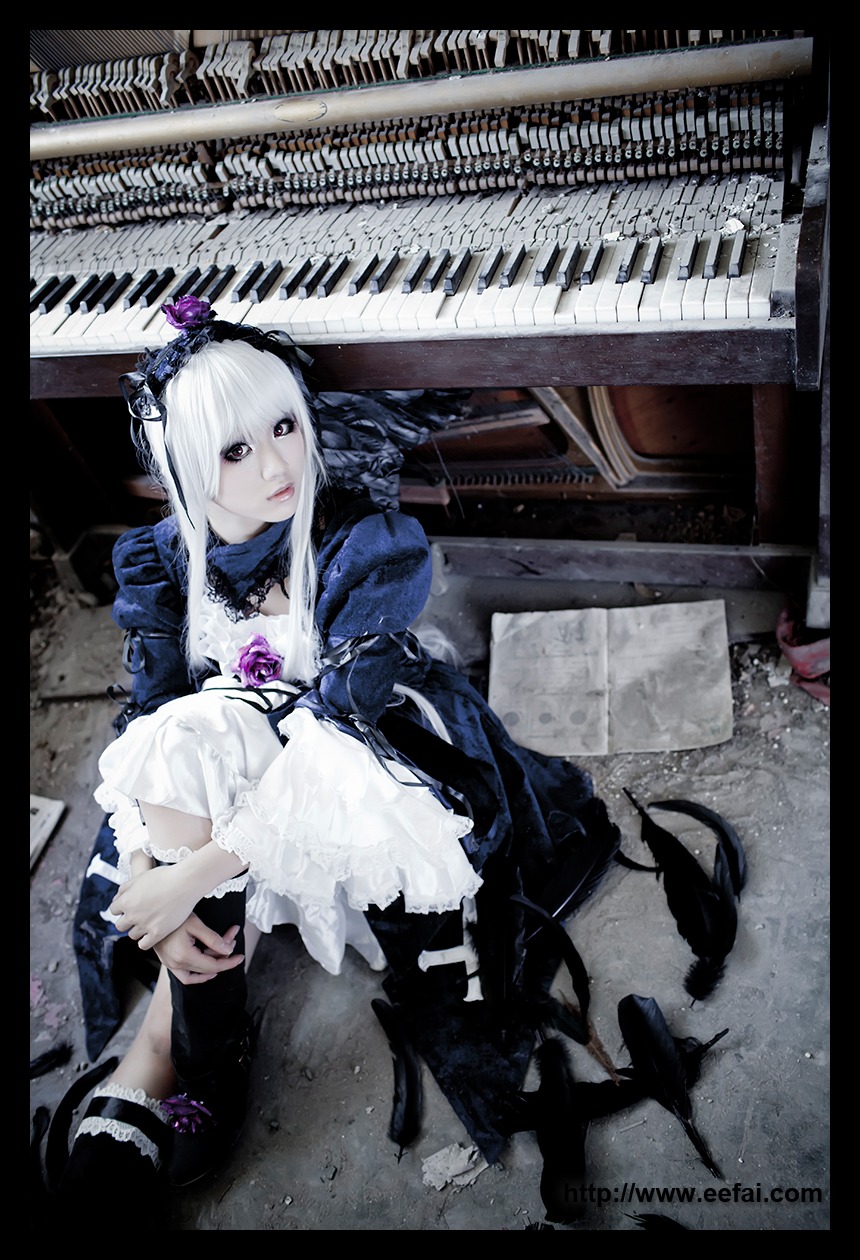 1girl dress flower frills gothic_lolita long_hair rose solo suigintou white_hair