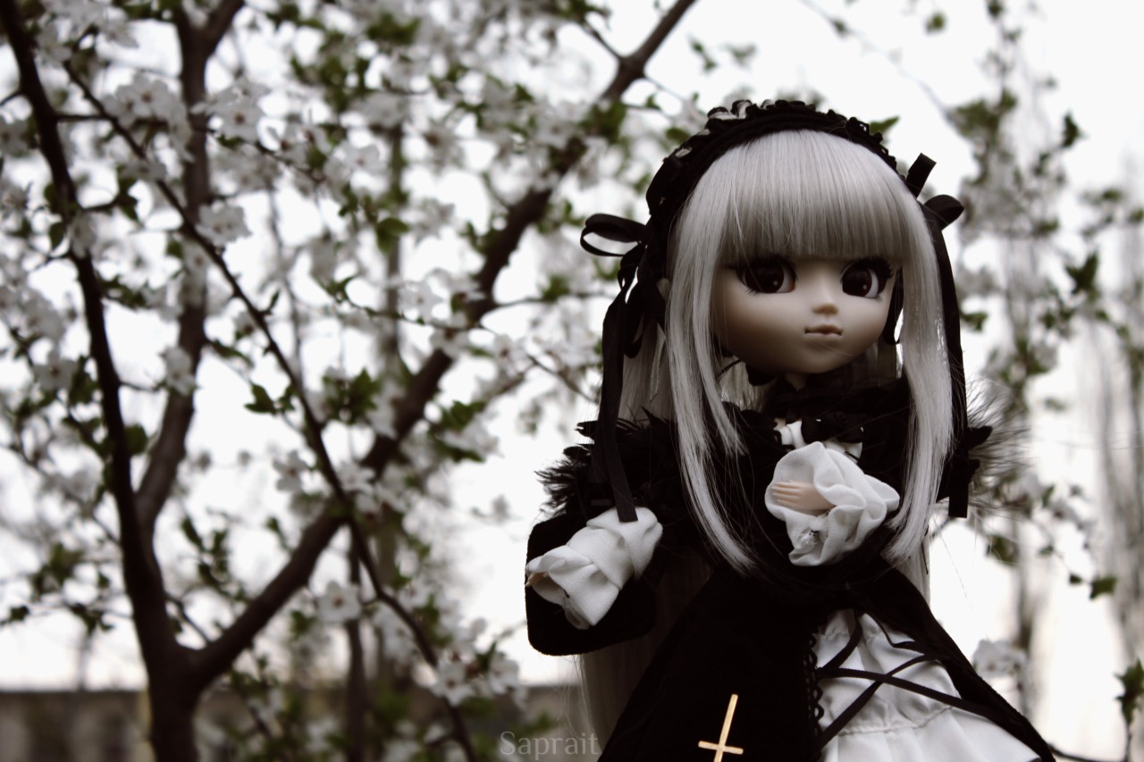 1girl bangs blurry blurry_background blurry_foreground cup depth_of_field doll dress gothic_lolita holding long_hair long_sleeves looking_at_viewer motion_blur photo saucer solo suigintou teacup