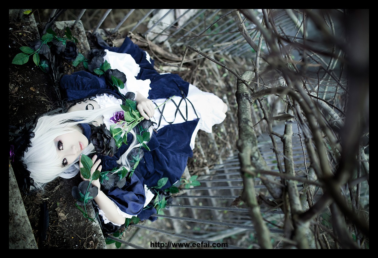 1girl black_border depth_of_field dress flower letterboxed long_hair pillarboxed solo suigintou white_hair