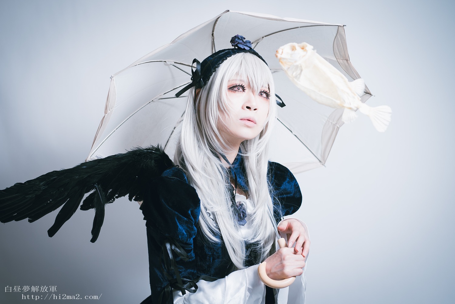1girl bangs bird black_wings closed_mouth crow feathered_wings feathers grey_background holding_umbrella lips long_hair long_sleeves rain solo suigintou transparent umbrella white_hair wings