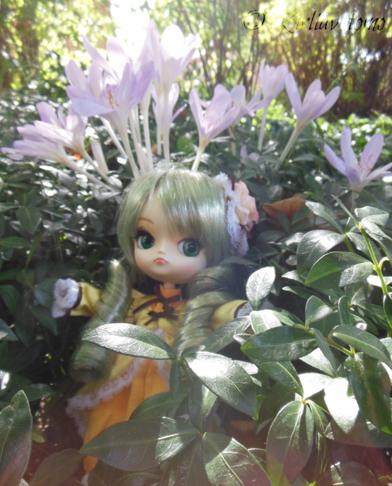 1girl blurry blurry_foreground bug butterfly depth_of_field doll flower green_hair insect kanaria ribbon solo