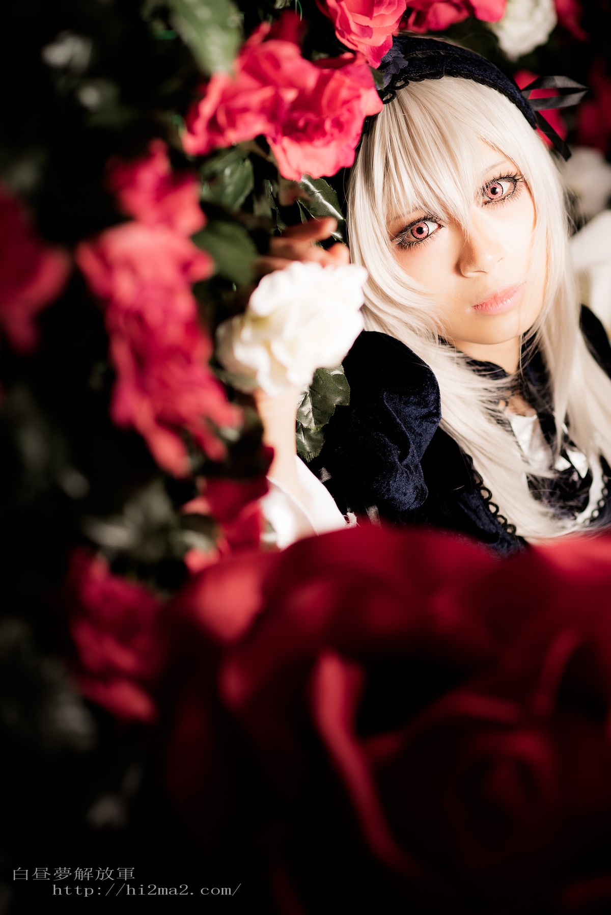 1girl blonde_hair blurry blurry_background blurry_foreground depth_of_field dress flower gothic_lolita hairband lace lips lolita_fashion long_hair looking_at_viewer rose solo suigintou watermark web_address